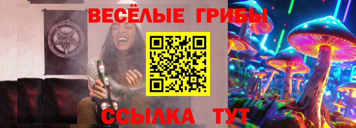 Ялуторовск  Галлюциногенные грибы мицелий  Псилоцибиновые грибы Psilocybine cubensis  наркотики  Вход с VPN 